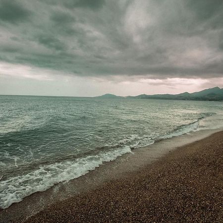 Appartement T2 Les Pieds Dans L'Eau A Argelès-sur-Mer Extérieur photo