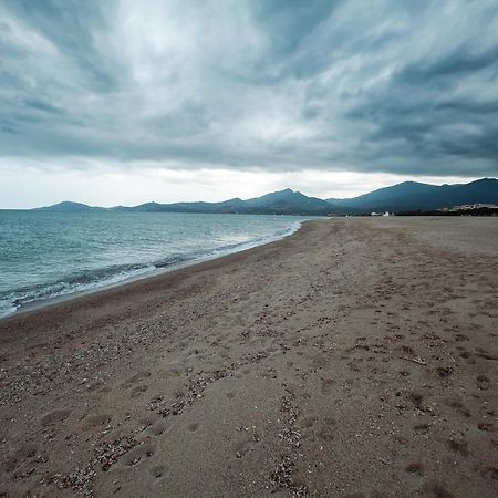 Appartement T2 Les Pieds Dans L'Eau A Argelès-sur-Mer Extérieur photo