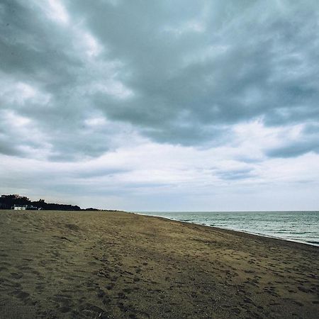Appartement T2 Les Pieds Dans L'Eau A Argelès-sur-Mer Extérieur photo