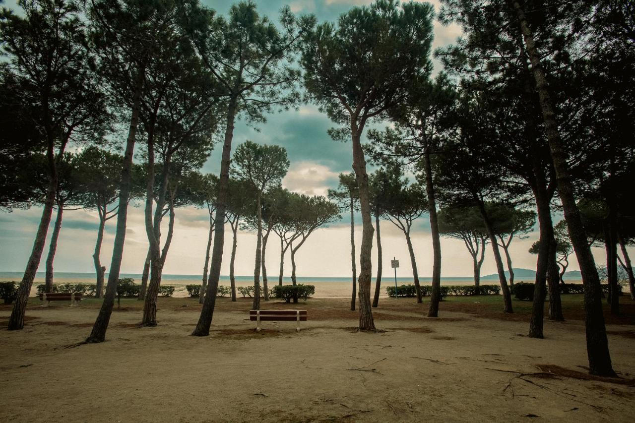 Appartement T2 Les Pieds Dans L'Eau A Argelès-sur-Mer Extérieur photo