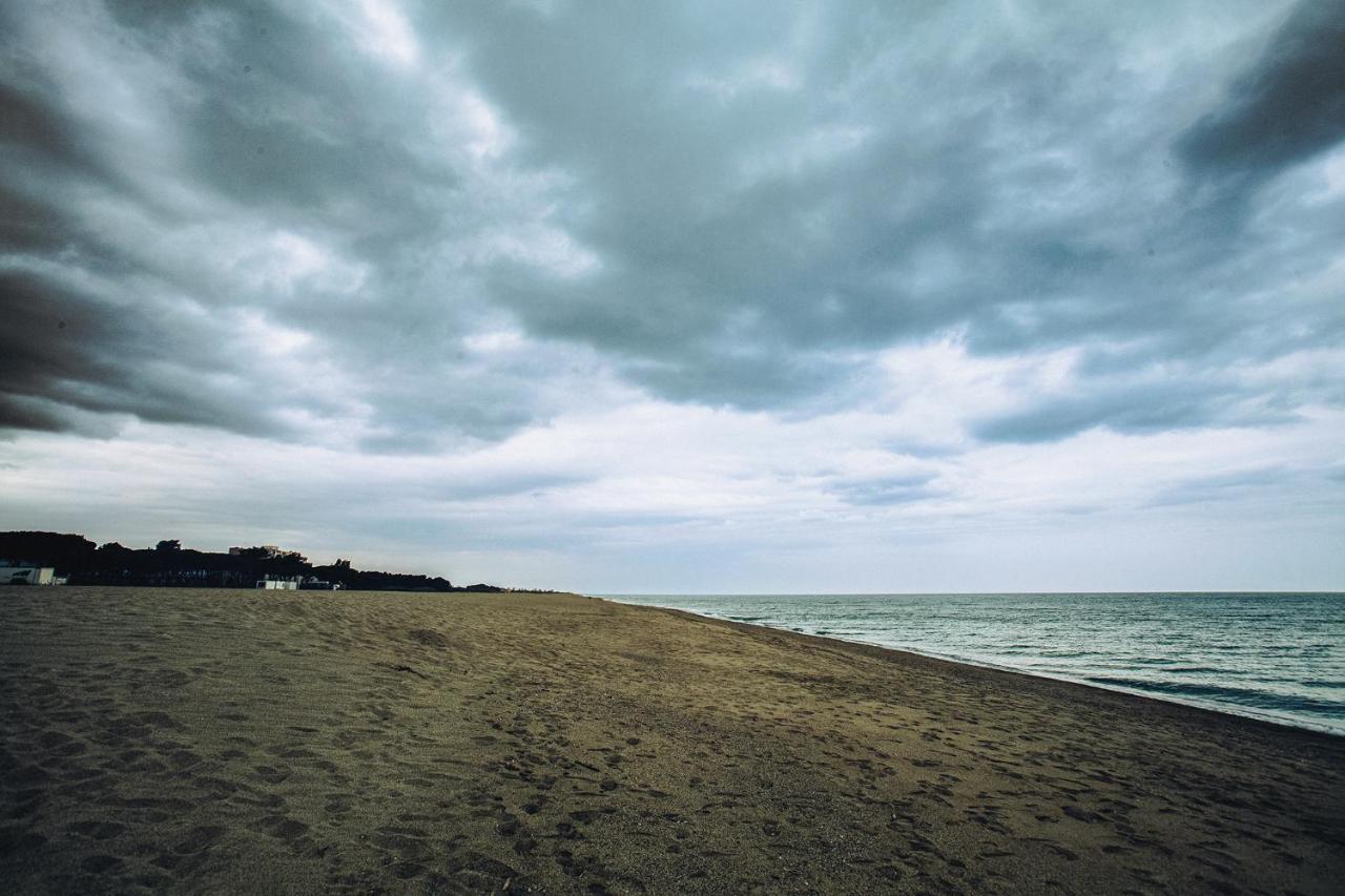 Appartement T2 Les Pieds Dans L'Eau A Argelès-sur-Mer Extérieur photo
